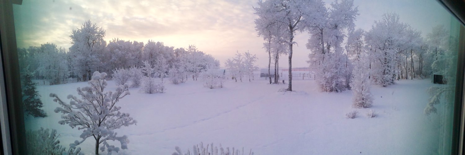 jill_thomas13's profile banner image