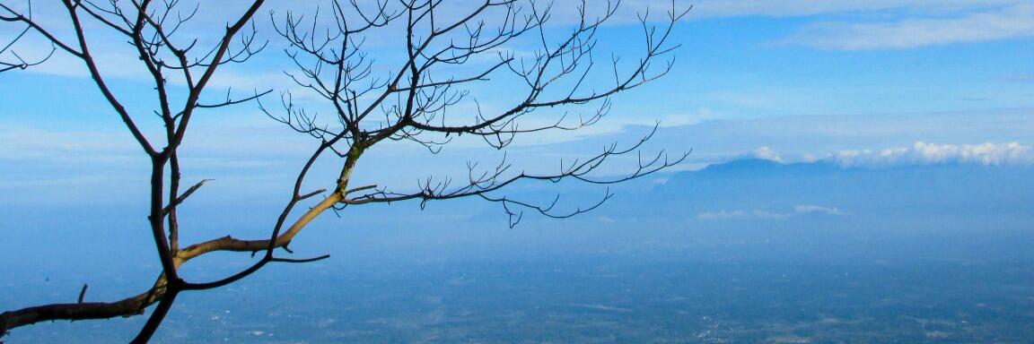arjunhdas's profile banner image