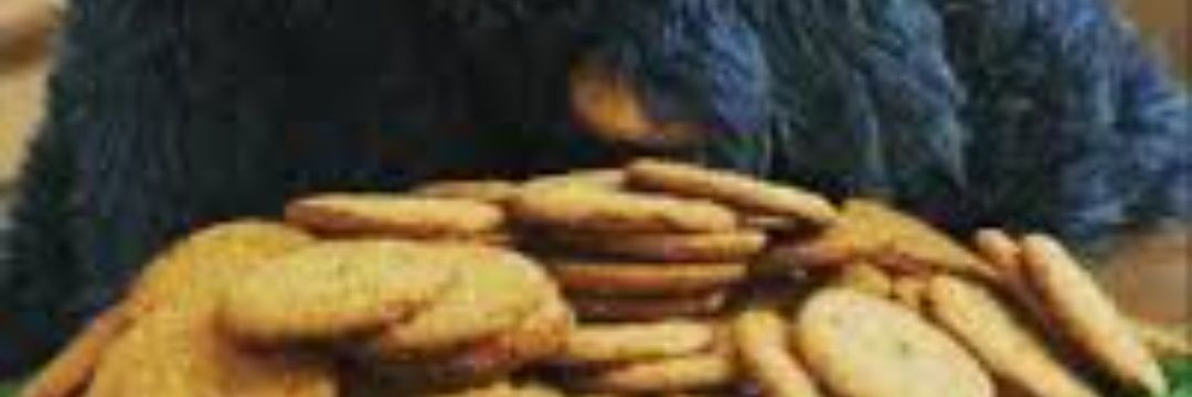 MonstruoComega's profile banner image