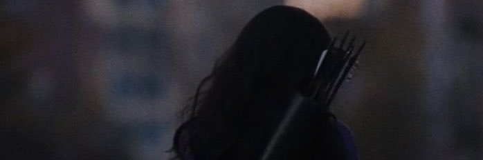 ThatHawleyeHeir's profile banner image