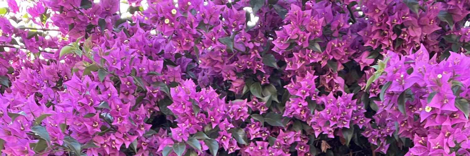 justjanira's profile banner image