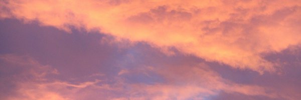 zuzu_eeka Profile Banner