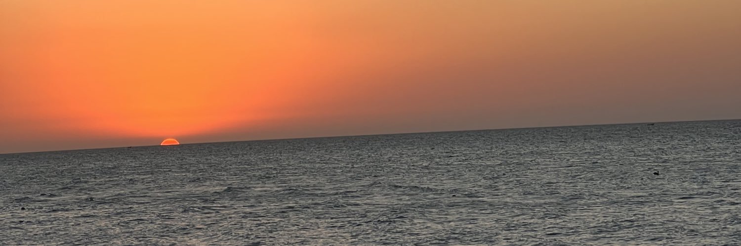 mflora03's profile banner image