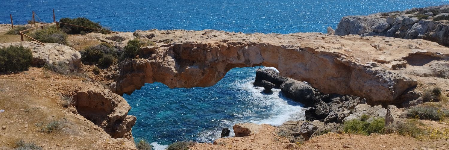 Marcus Garvey banner