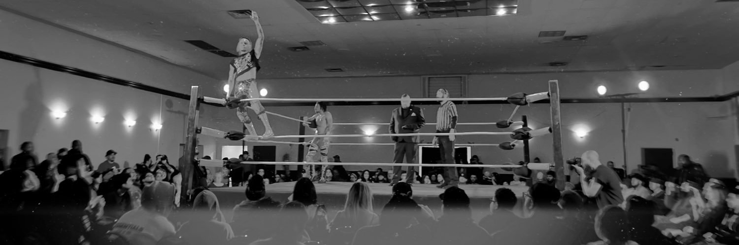 Shadow Wrestling Alliance banner