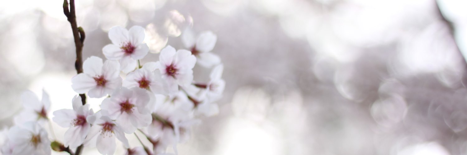 しみっく🏳️‍🌈元億り人 banner