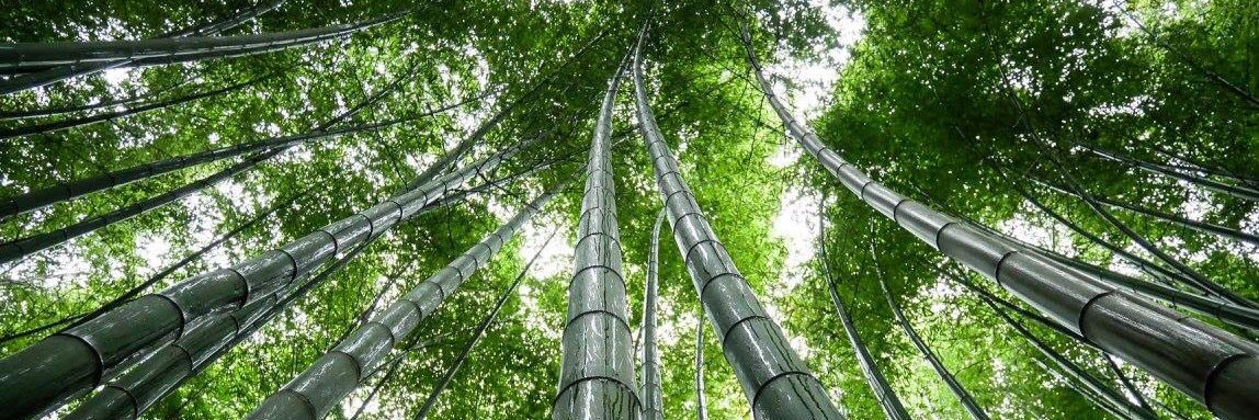 Timothy Perrett banner