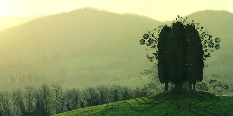 mpal's profile banner image