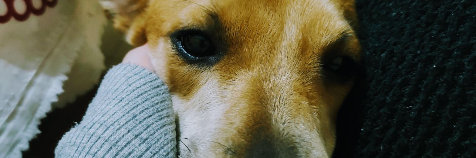 LuuMedranda's profile banner image