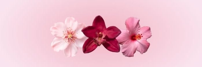 ___Mnoz29's profile banner image
