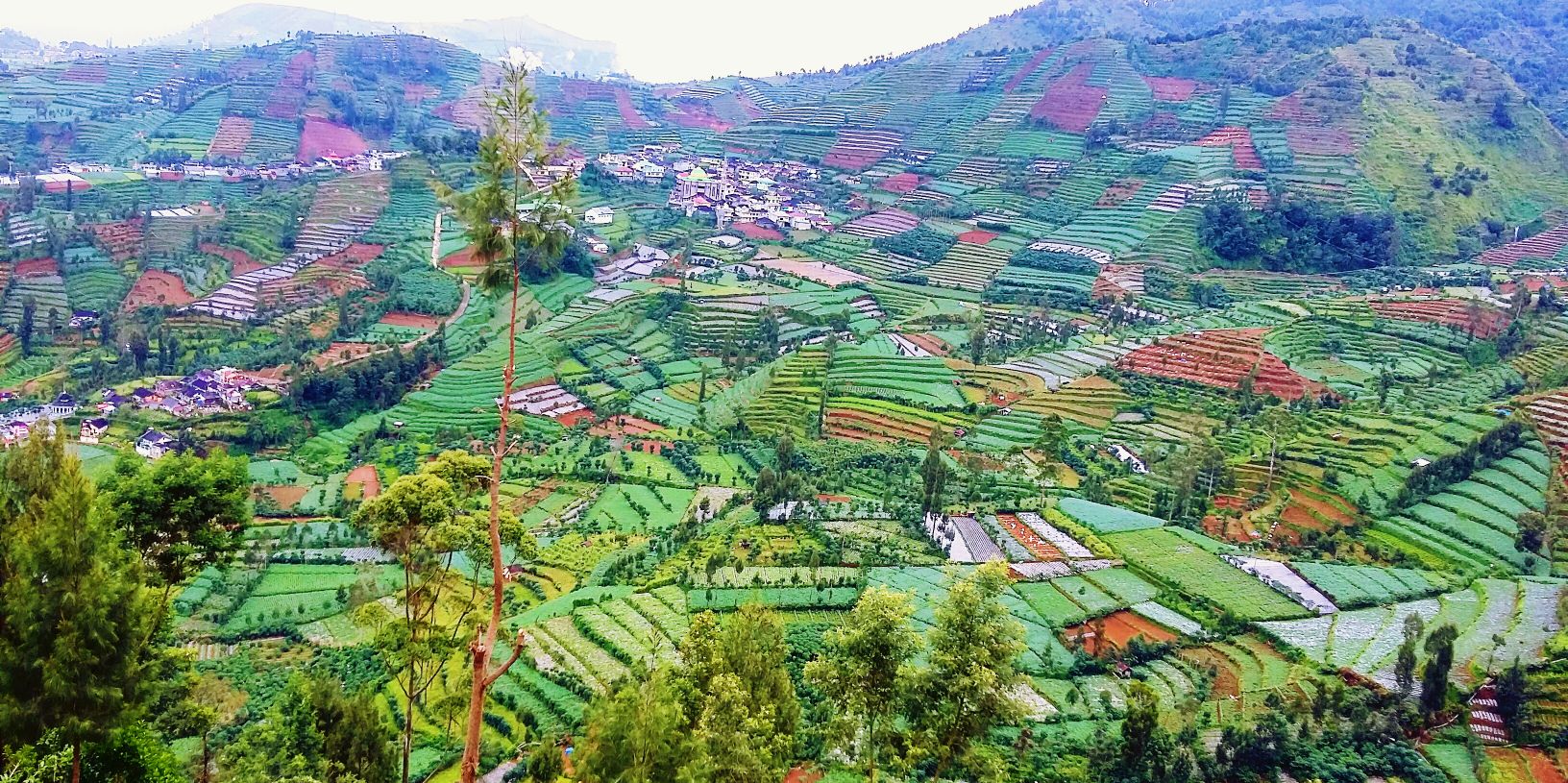 ayunda_rh's profile banner image