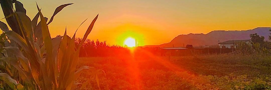 htc___kubra's profile banner image