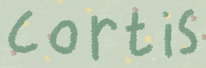 thd1808's profile banner image