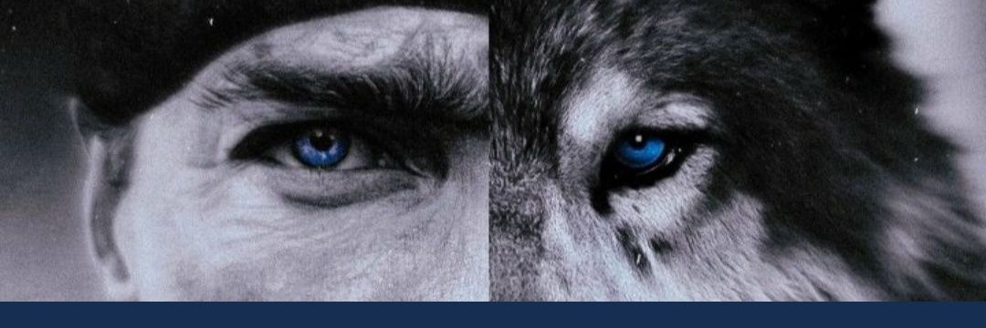 Bodrum__beyi's profile banner image
