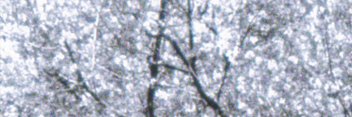 ggua_h's profile banner image