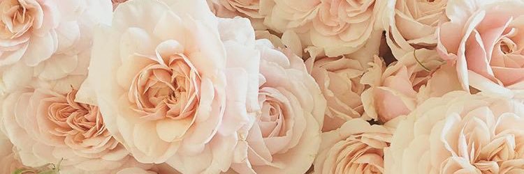 Shell_McRaye's profile banner image
