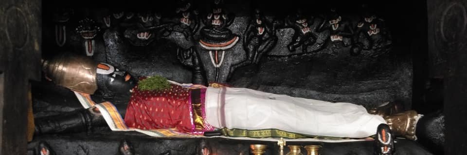 SIMHAMUKHAN-V.IYENGAR-Srivatsam-N.Chakravarthi's banner