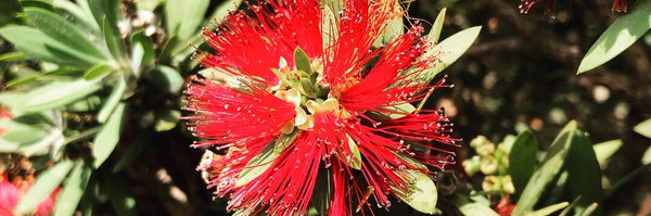 melching5 Profile Banner