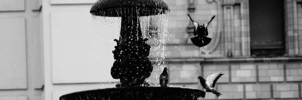 kbgabo's profile banner image