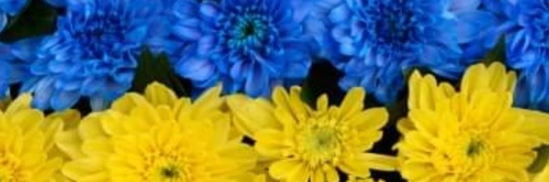 art_lew's profile banner image