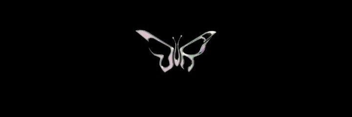 🦋's banner