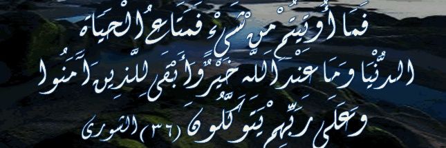 Saed Nashef banner