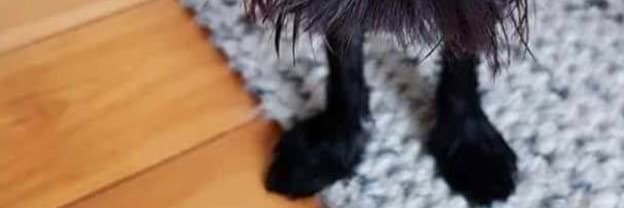Stinky Doo(แอคทีฟไม่แน่นอน)'s banner