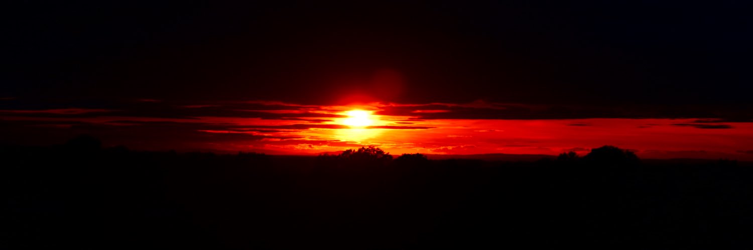 Matt Hollander banner