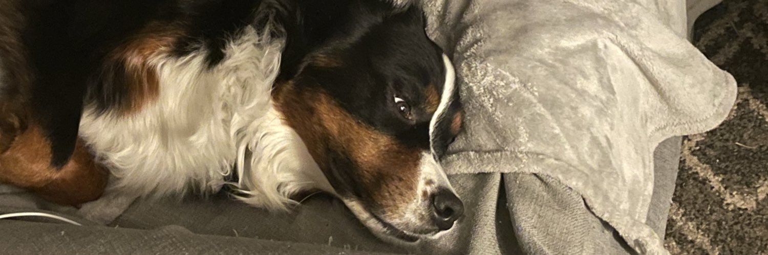 Travis M, tired banner