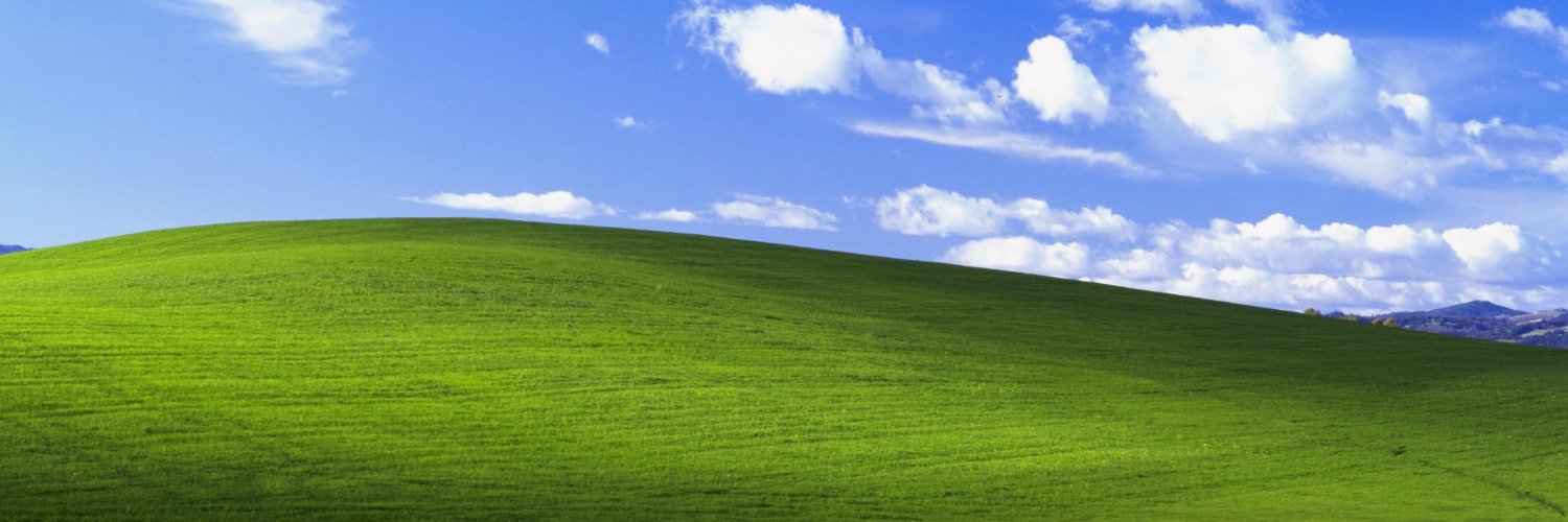 yocno's profile banner image
