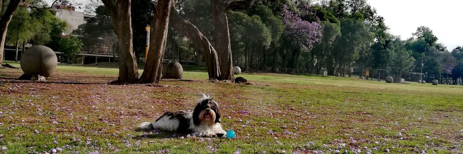abygalleta's profile banner image