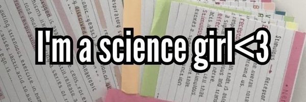 i_gallegor Profile Banner