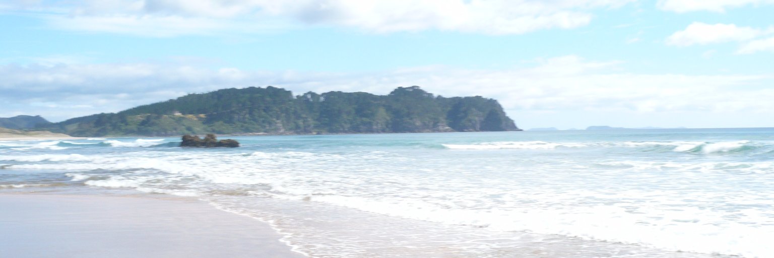 MicaSpadafora's profile banner image