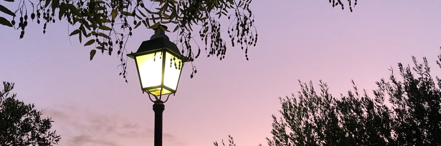 mtrodesm's profile banner image