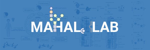 Mahal_Lab Profile Banner