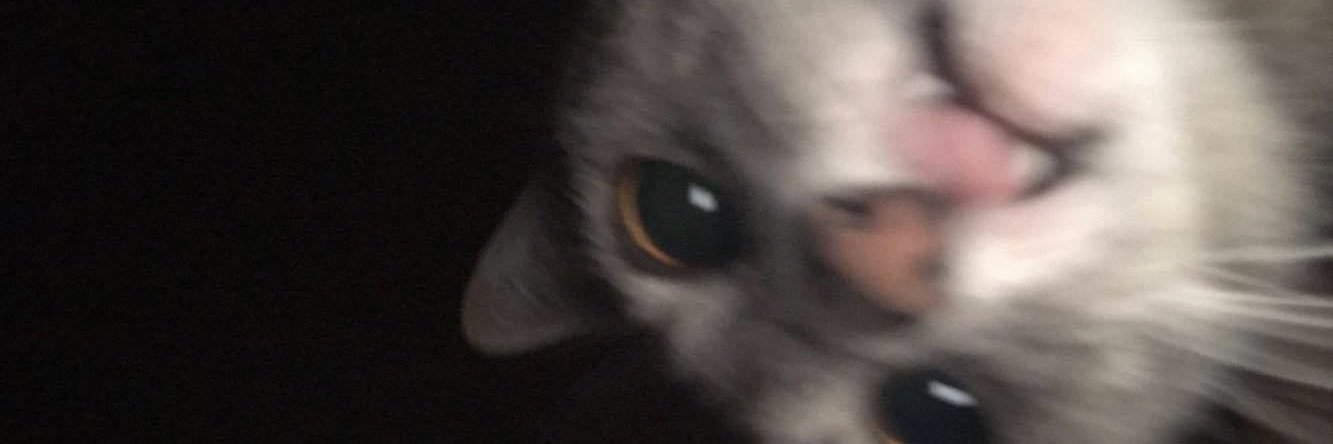 _CarlaG's profile banner image