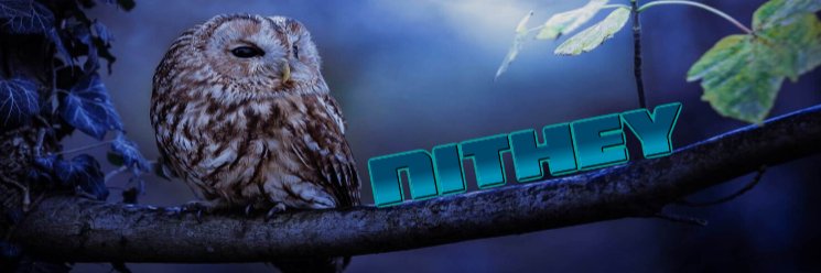 Nithey banner
