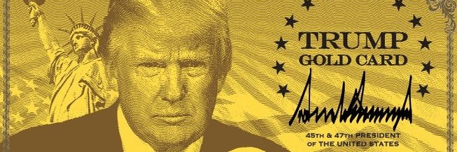 Idalino Menezes banner