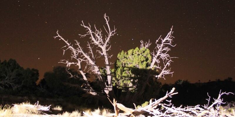 ams3242's profile banner image