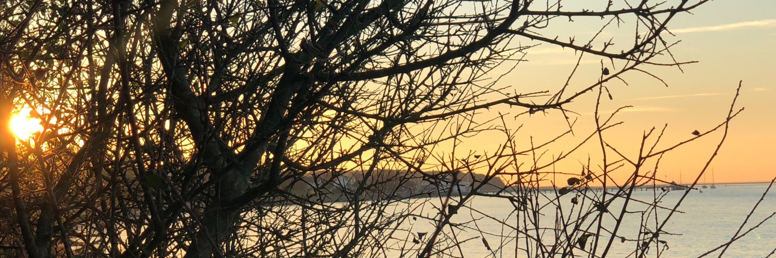 Tesco Haverhill banner