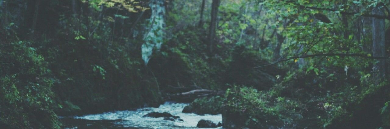 RyanDosa's profile banner image