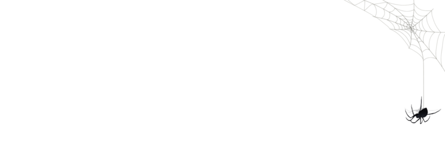 nictoise's profile banner image