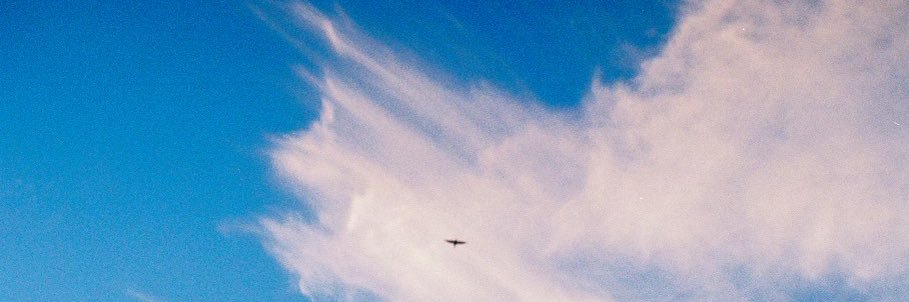 comanderlexa💜🖤 banner