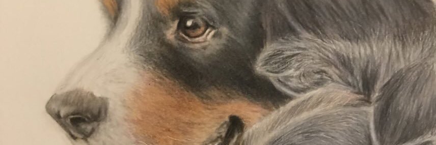 Lily’s Art and Pet Portraits 🎨🖼✍️❤️ banner