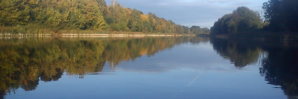 Marta Dzirkste banner