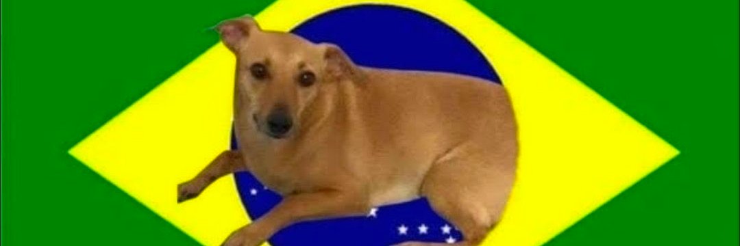 Babado e Confusão Querida banner