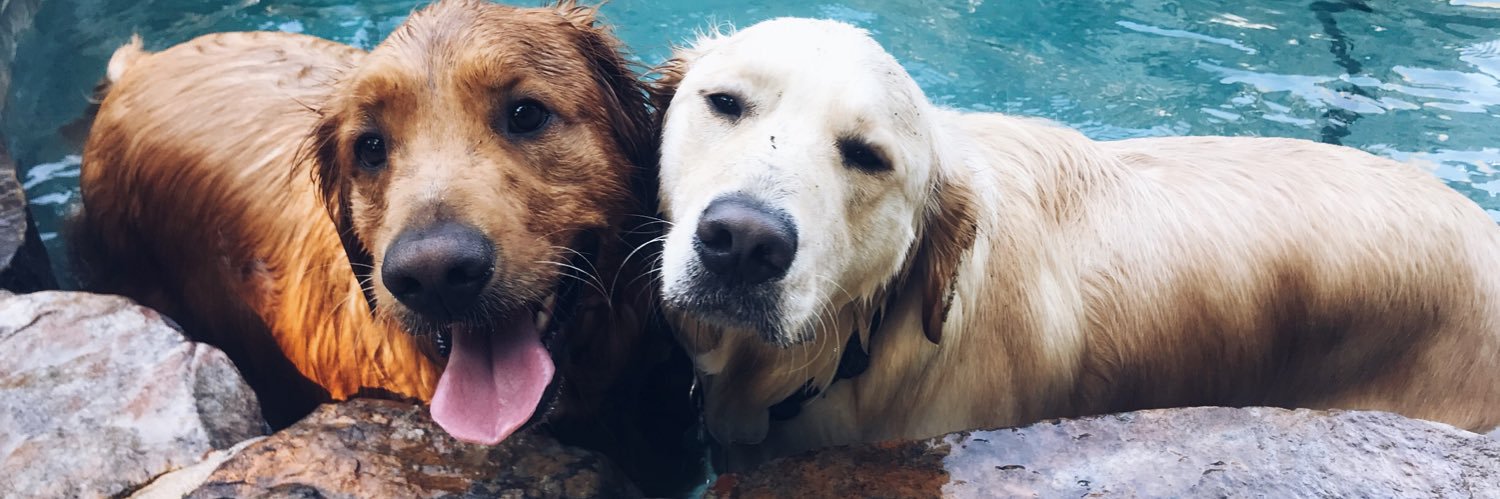 Shelbs_Rae's profile banner image