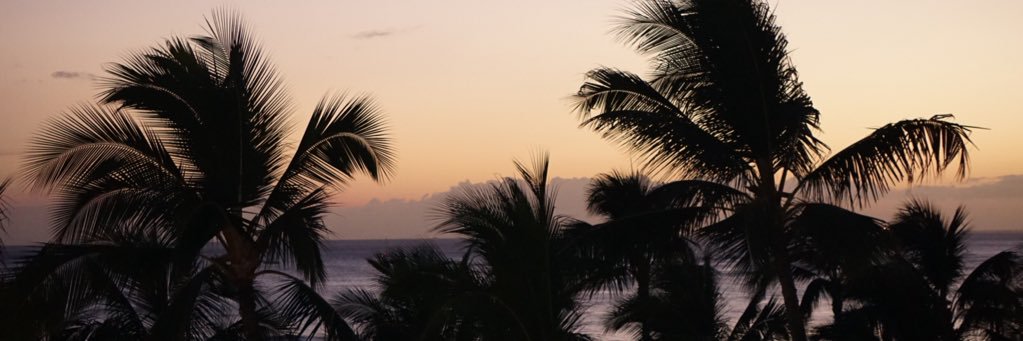 itxkayla's profile banner image