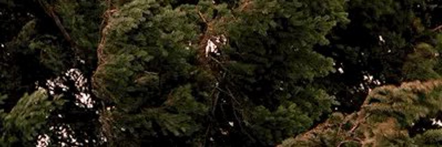 xneedfulthingx's profile banner image