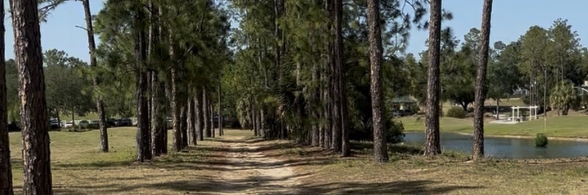 LilyKleinner's profile banner image